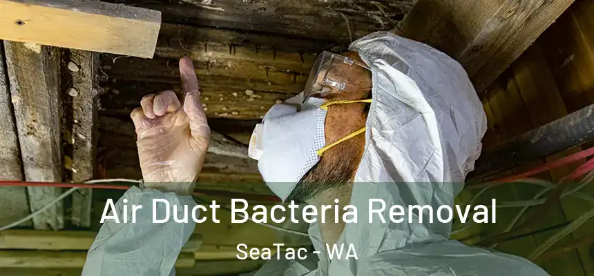 Air Duct Bacteria Removal SeaTac - WA
