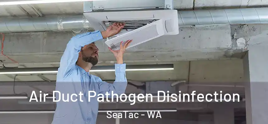 Air Duct Pathogen Disinfection SeaTac - WA