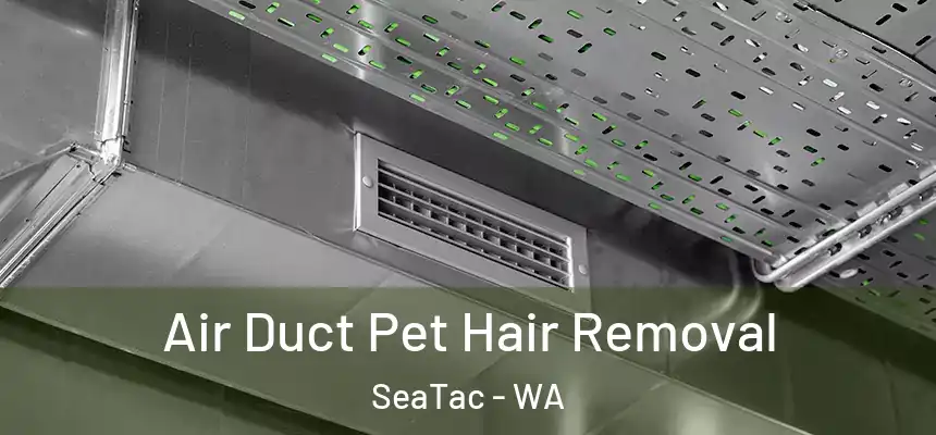  Air Duct Pet Hair Removal SeaTac - WA