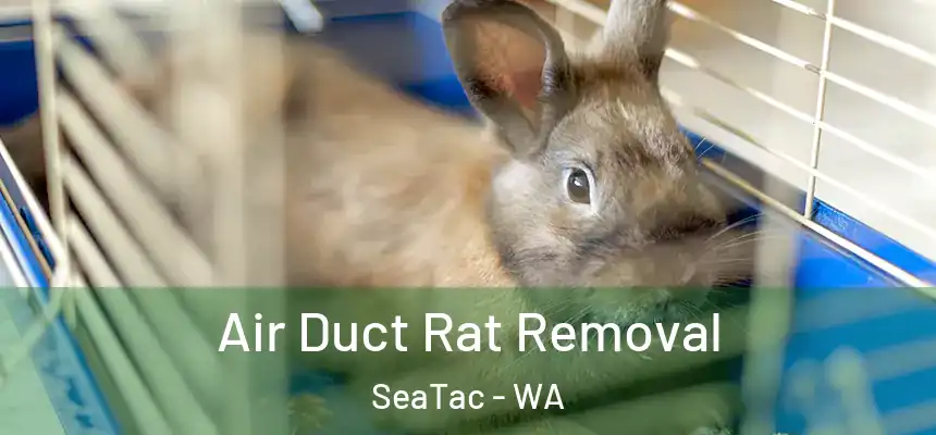 Air Duct Rat Removal SeaTac - WA