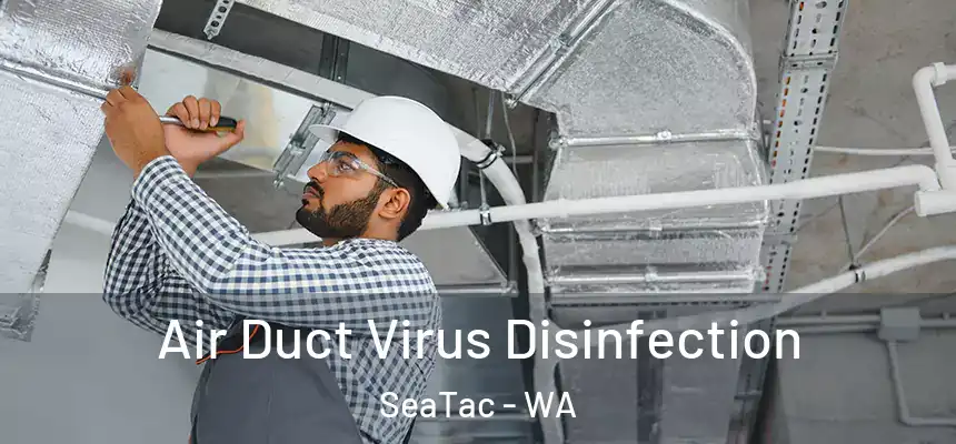 Air Duct Virus Disinfection SeaTac - WA