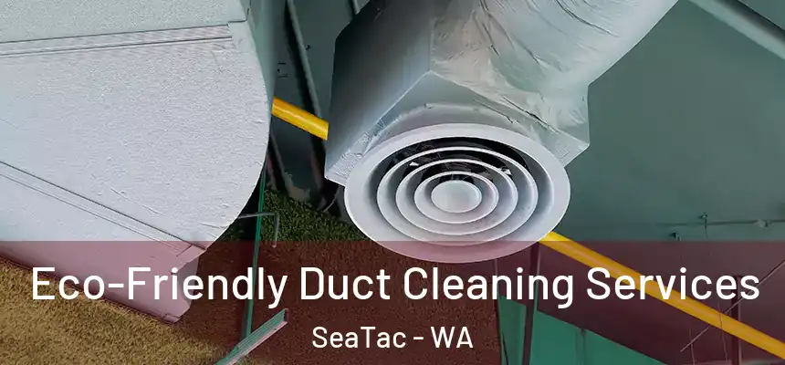 Eco-Friendly Duct Cleaning Services SeaTac - WA
