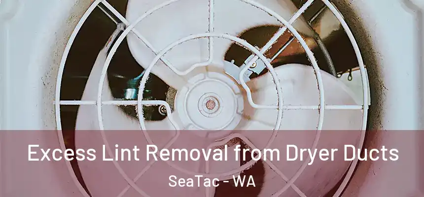  Excess Lint Removal from Dryer Ducts SeaTac - WA
