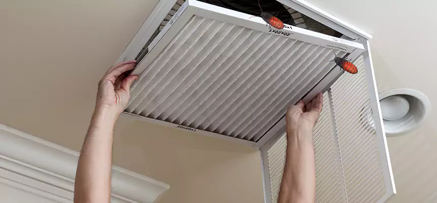 Preventive Cockroach-Proofing for Ducts in SeaTac