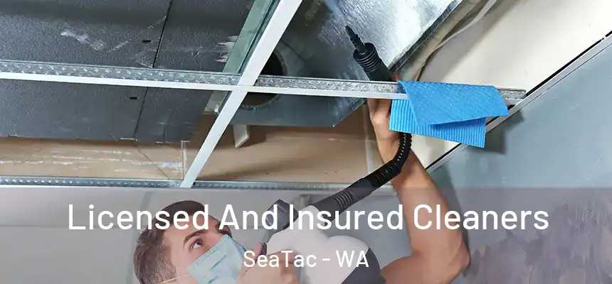  Licensed And Insured Cleaners SeaTac - WA
