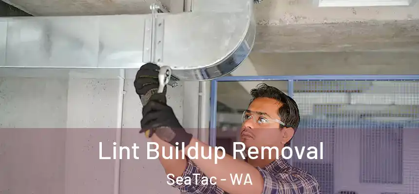  Lint Buildup Removal SeaTac - WA