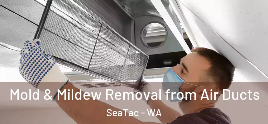 Mold & Mildew Removal from Air Ducts SeaTac - WA