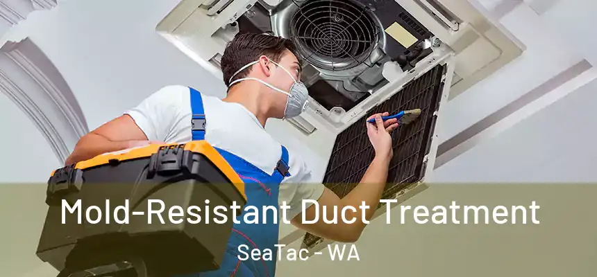 Mold-Resistant Duct Treatment SeaTac - WA