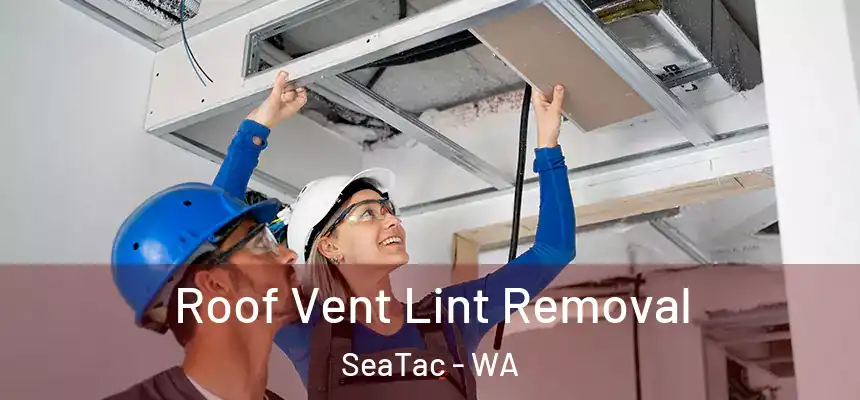  Roof Vent Lint Removal SeaTac - WA