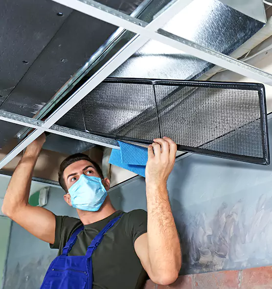 About Air Duct Bacteria Removal in SeaTac