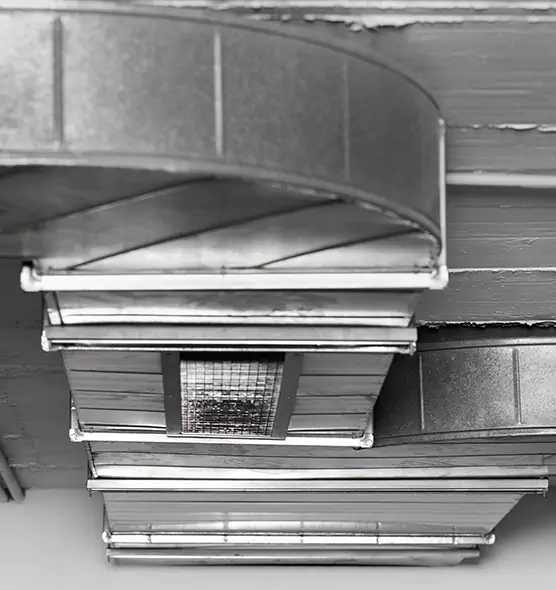 Professional Air Duct Pet Hair Removal in SeaTac, WA