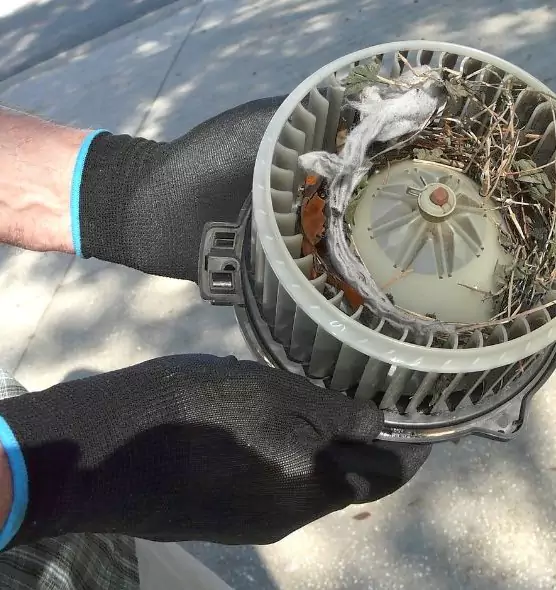 About Air Duct Rat Removal in SeaTac, WA