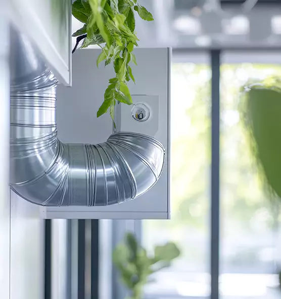 Professional Eco-Friendly Duct Cleaning Services in SeaTac, WA