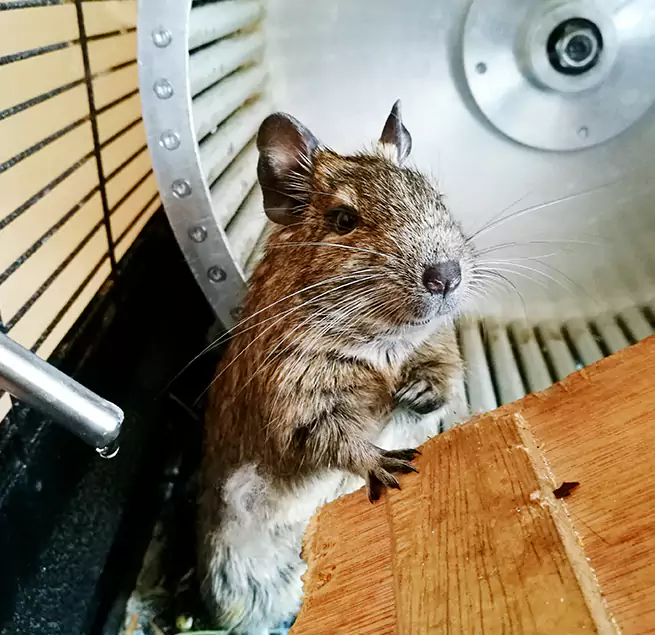 Why Homeowners & Businesses Trust Us SeaTac, WA