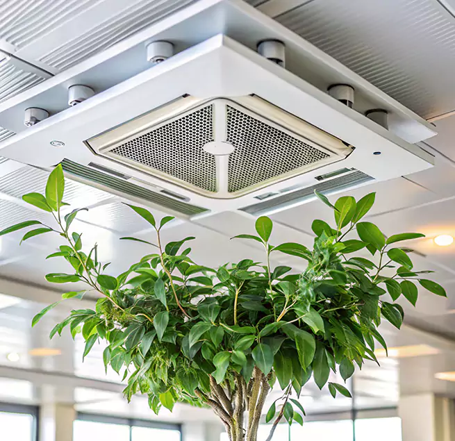 Why Homeowners & Businesses Trust Us in SeaTac, WA?