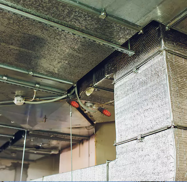 Why Homeowners & Businesses Trust Us SeaTac, WA?