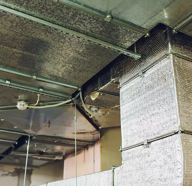 Why Homeowners & Businesses Trust Us in SeaTac, WA?